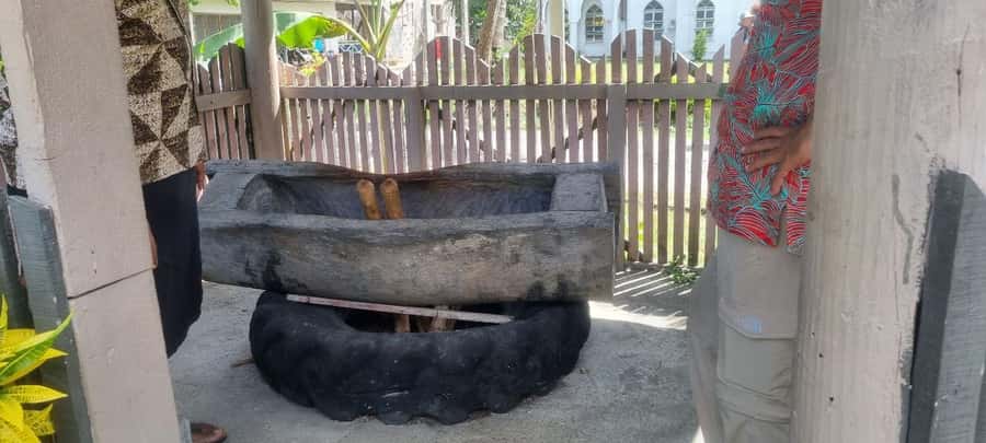 Nadi: Garden Village Hot Spring & Temple Highlights Tour - The produce market: a quick taste of daily life