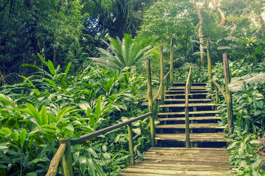 Nadi: Garden Village Hot Spring & Temple Highlights Tour - Sri Siva Subramaniya Temple: a colorful start