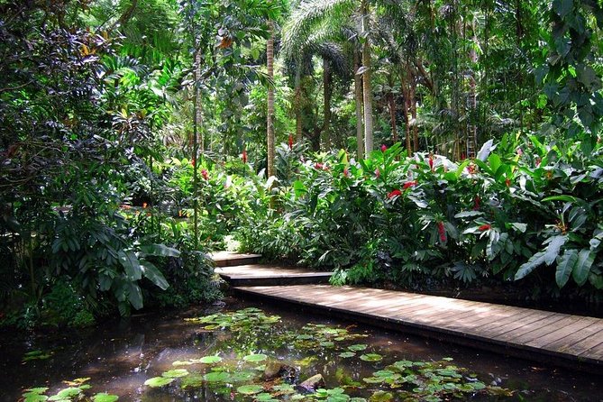 Nadi Sightseeing Including Viseisei Lookout, Village Tour, Garden & Temple Tour - Viseisei Village gives the route its cultural purpose