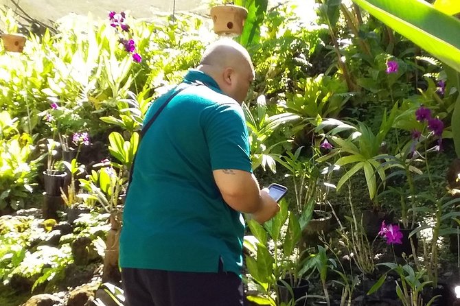 Nadi Sightseeing Including Viseisei Lookout, Village Tour, Garden & Temple Tour - What the $79.98 price really buys