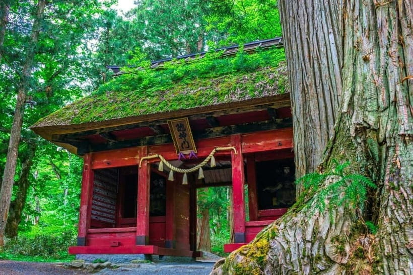 Nagano: Snow Monkeys & Togakushi Shrine Two-Spot in-One Day - Why a private car changes the day