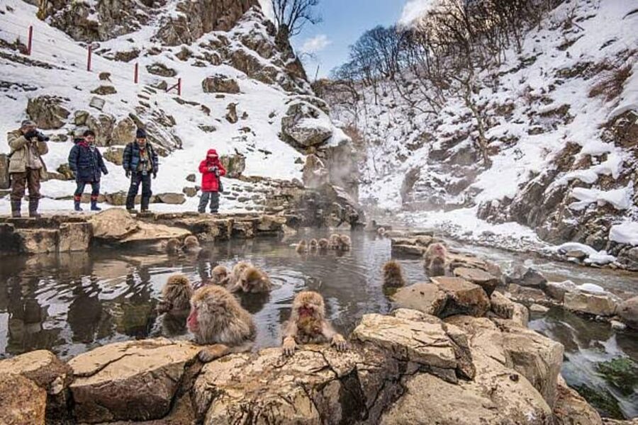 Nagano: Snow Monkeys, Zenko-ji Temple, and Lake Nojiri Tour - Shibu Onsen and Yudanaka’s hot spring towns
