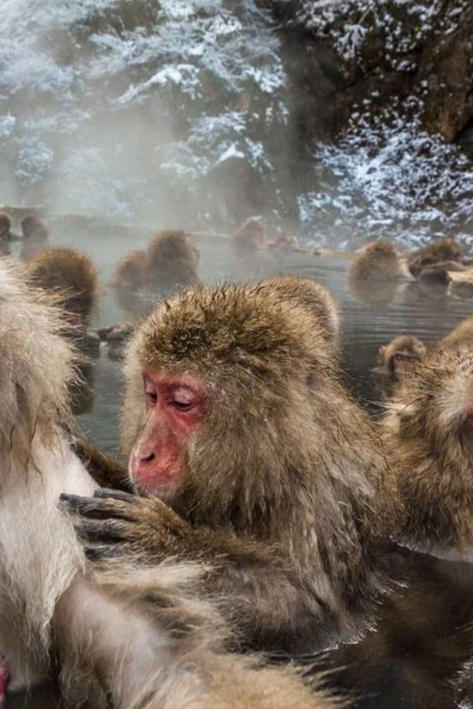Nagano: Snow Monkeys, Zenko-ji Temple, and Lake Nojiri Tour - Matsushiro Samurai District and Matsushiro Castle