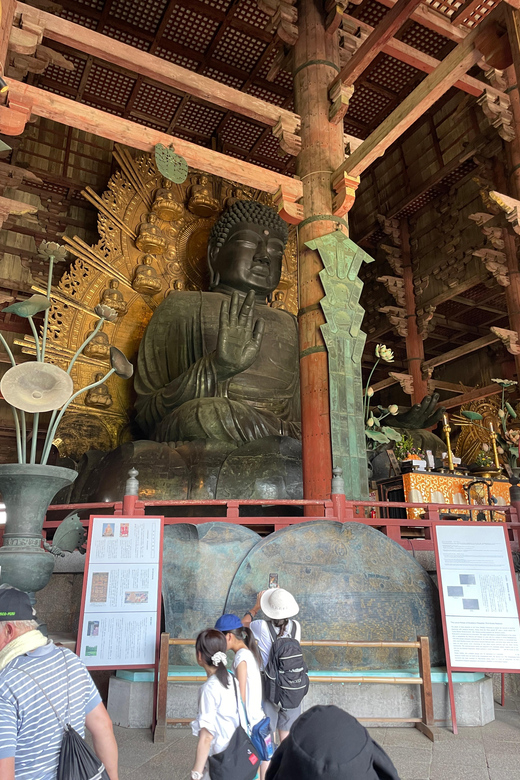 Nara City Tour | Explore Temples, Park & Local Highlights - Who should book this Nara tour?