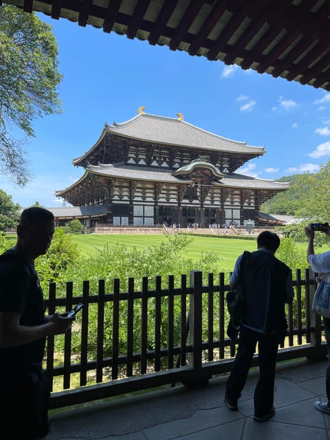 Nara City Tour | Explore Temples, Park & Local Highlights - Nara Park and the city’s famous deer