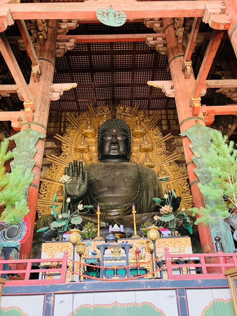 Nara: Essential Private Tour with Deer Park and Temples - Why this short Nara tour works