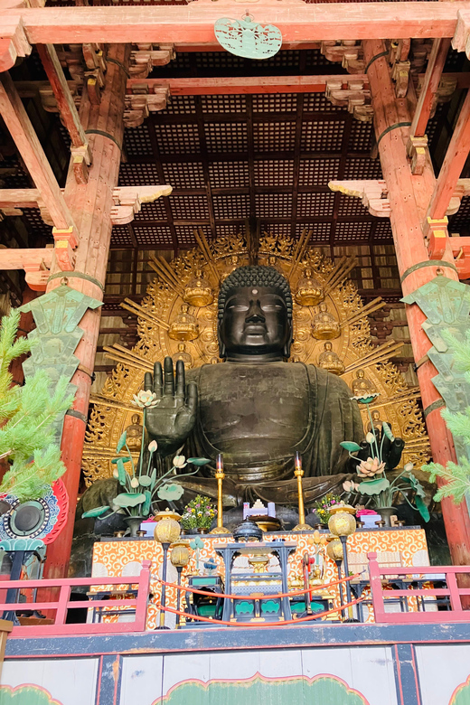 Nara: Essential Private Tour with Deer Park and Temples - Nara Park and the deer
