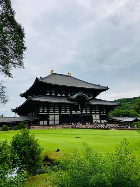 Nara: Essential Private Tour with Deer Park and Temples - What guide Masa adds