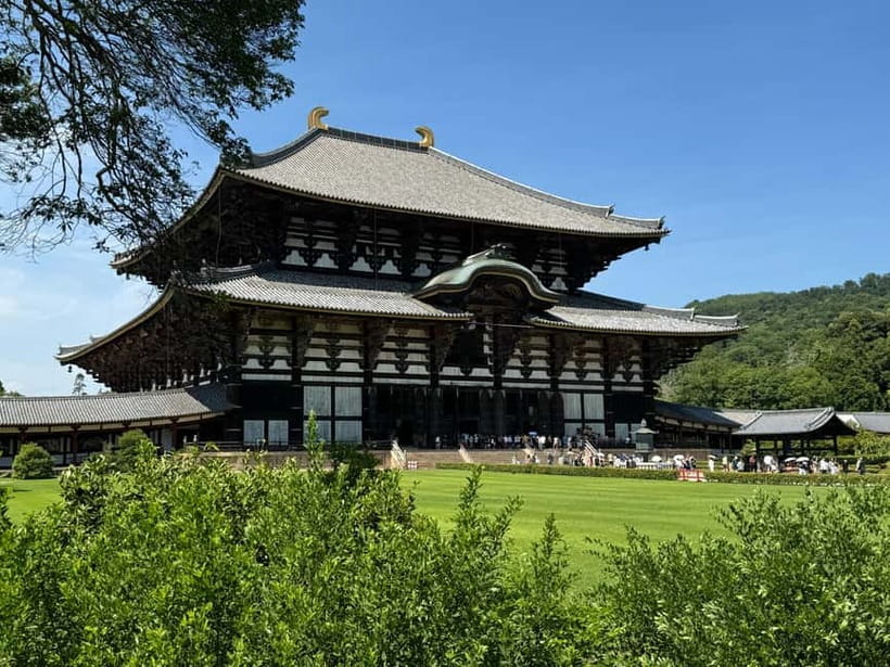 Nara: Great Buddha, Kasuga Shrine & Deer Park Tour - What the guide adds to the three-hour route