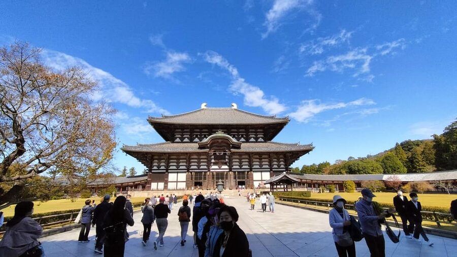 Nara: Great Buddha, Kasuga Shrine & Deer Park Tour - Starting at Himuro Shrine beside Nara Park