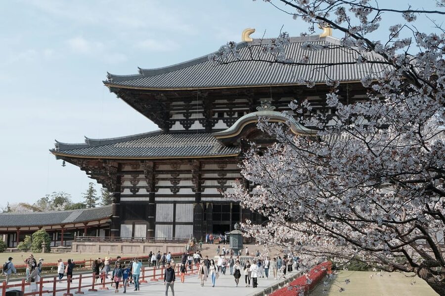 Nara Heritage Walkabout from Nara Park to Todaji-ji temple - At a glance: what makes this Nara walk worthwhile