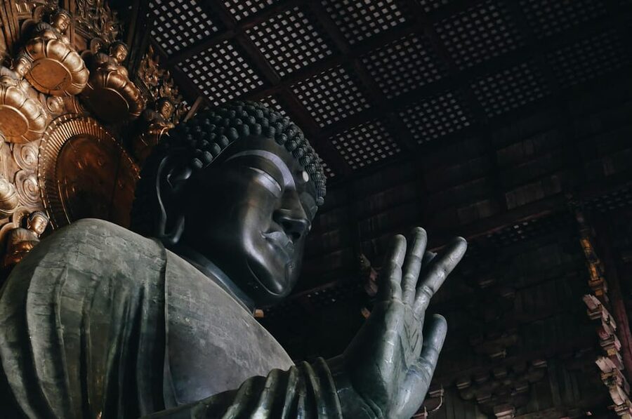 Nara Heritage Walkabout from Nara Park to Todaji-ji temple - Kasuga Taisha, lanterns, and Shinto atmosphere