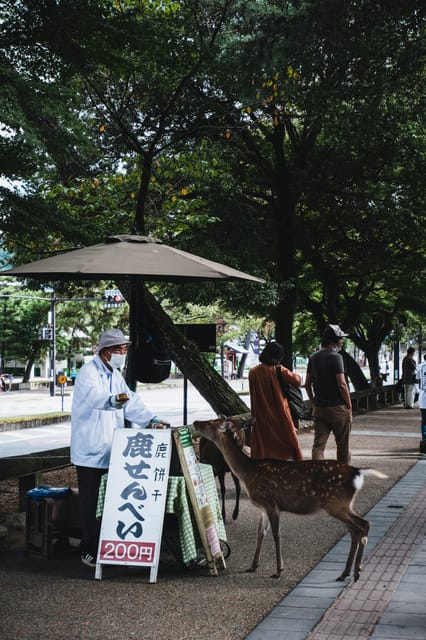 Nara Heritage Walkabout from Nara Park to Todaji-ji temple - Naramachi’s old houses, shops, and local snack