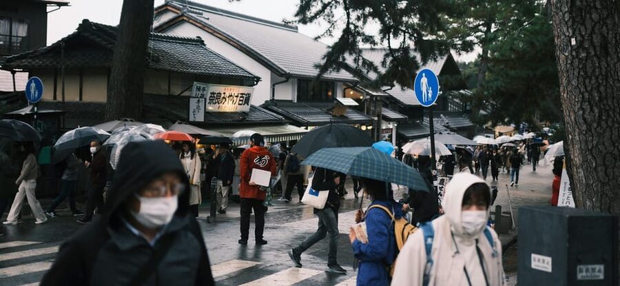 Nara Heritage Walkabout from Nara Park to Todaji-ji temple - Walking, comfort, and access