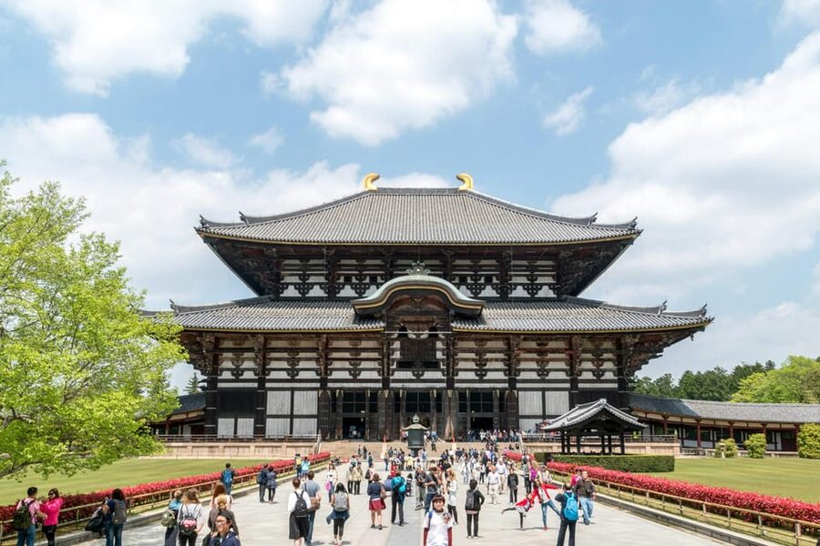 Nara Heritage Walkabout from Nara Park to Todaji-ji temple - Nara Park and the art of feeding deer