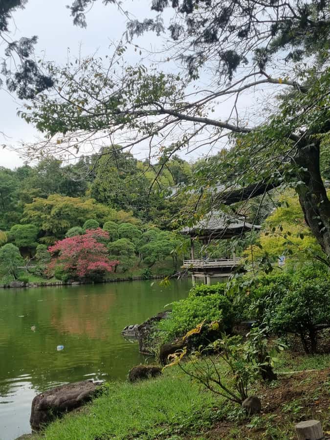 NARITA: Walking Tour, Omotesando street, Narita-san Temple - Why Narita is worth leaving the airport for
