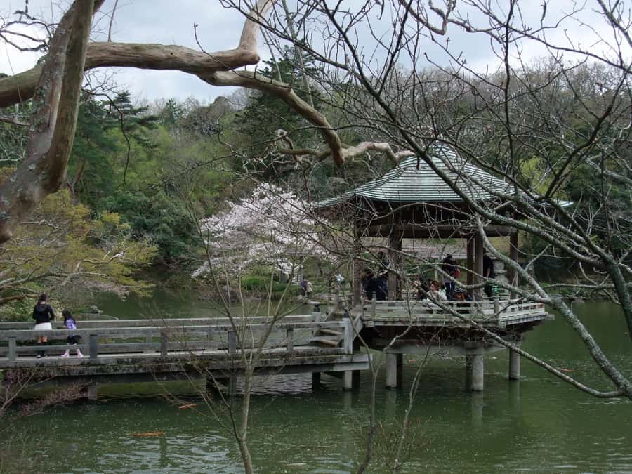 NARITA: Walking Tour, Omotesando street, Narita-san Temple - Finding quiet in Naritasan Park