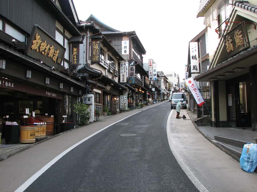 NARITA: Walking Tour, Omotesando street, Narita-san Temple - Who will get the most from this walk