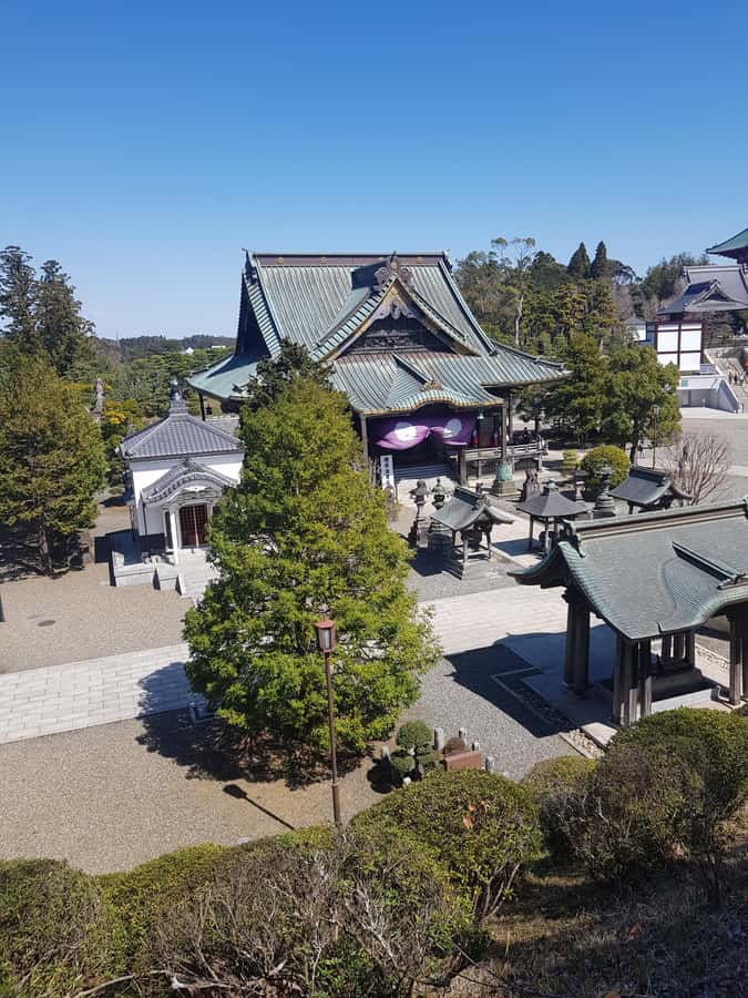 NARITA: Walking Tour, Omotesando street, Narita-san Temple - Walking Naritasan Omotesando for one hour