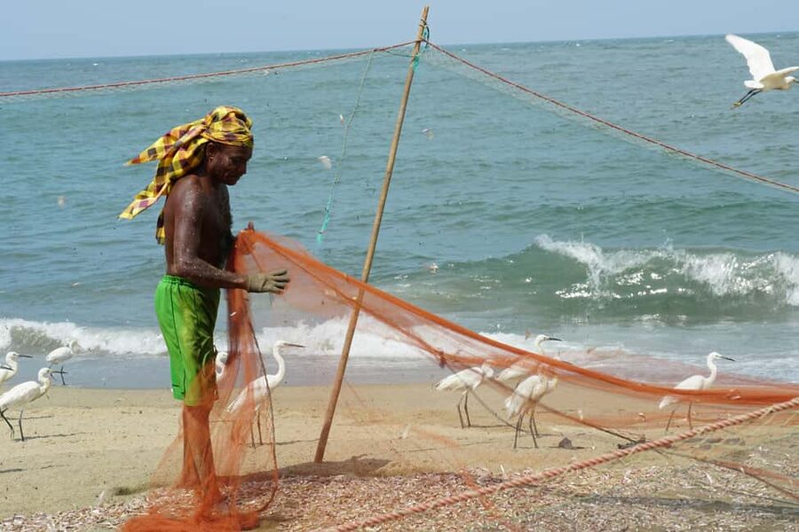 Negombo Private Tour: Market, Temples & Canal - Starting at St. Sebastian’s Church on Sea Street