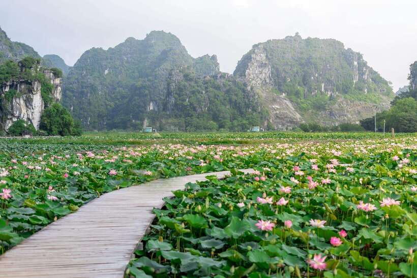 Ninh Binh : Bai Dinh Pagoda, Trang An, and Mua Cave Tour - A local lunch between the major stops