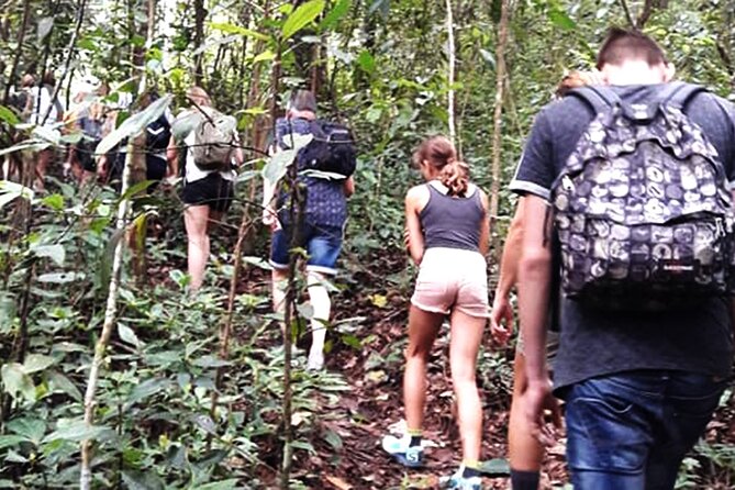 No.1 Chiang Mai: 3-Hour Monk Trail Hike to Wat Doi Suthep & Palad - Walking the Monk’s Trail from Doi Suthep-Pui National Park