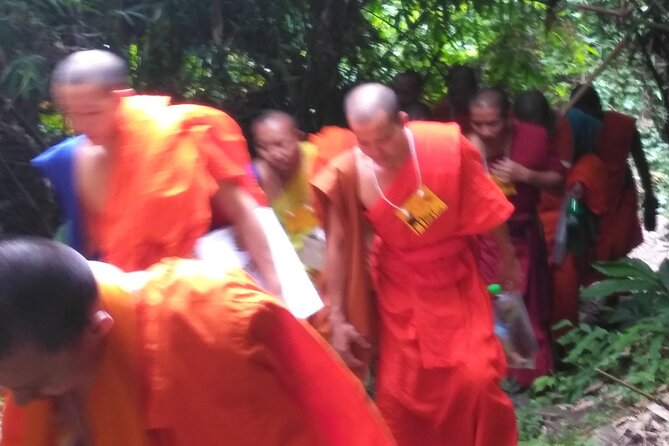 No.1 Chiang Mai: 3-Hour Monk Trail Hike to Wat Doi Suthep & Palad - Fire season and the changing route