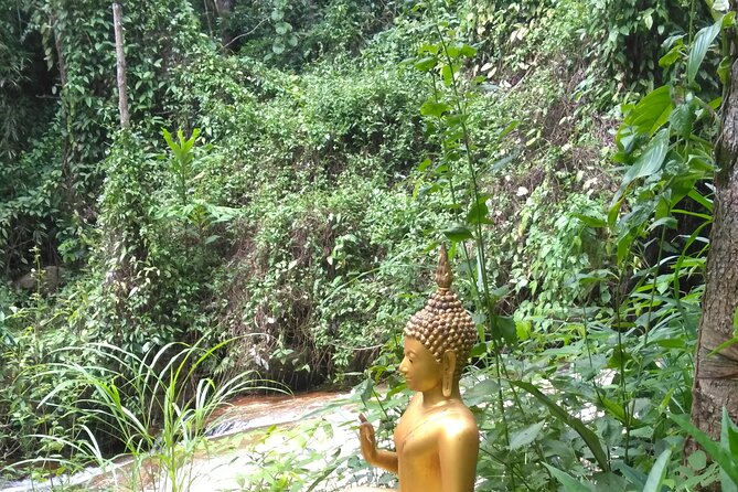 No.1 Chiang Mai: 3-Hour Monk Trail Hike to Wat Doi Suthep & Palad - Timing, pickup, and what to bring