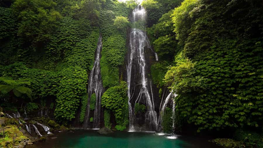 North Bali: Banyumala Waterfall and Ulun Danu Beratan Temple - At a glance: what makes this North Bali day special