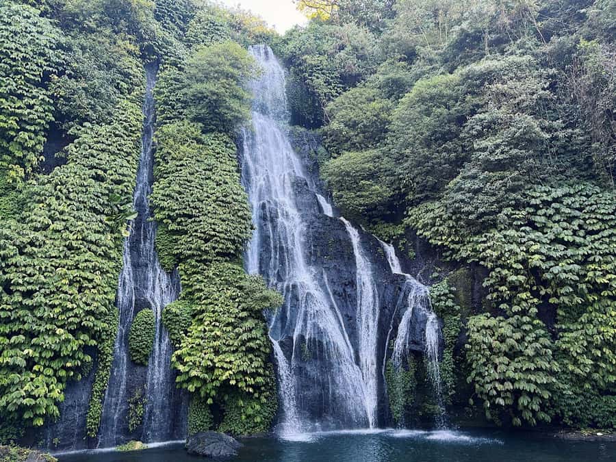North Bali: Dolphin, Ulun Danu Temple, & Banyumala Waterfall - Banyumala Waterfall and its natural pool