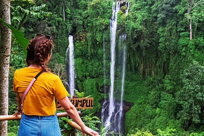 North Bali: Sekumpul Waterfalls and Ulun Danu Temple Tour - Who will enjoy this tour most