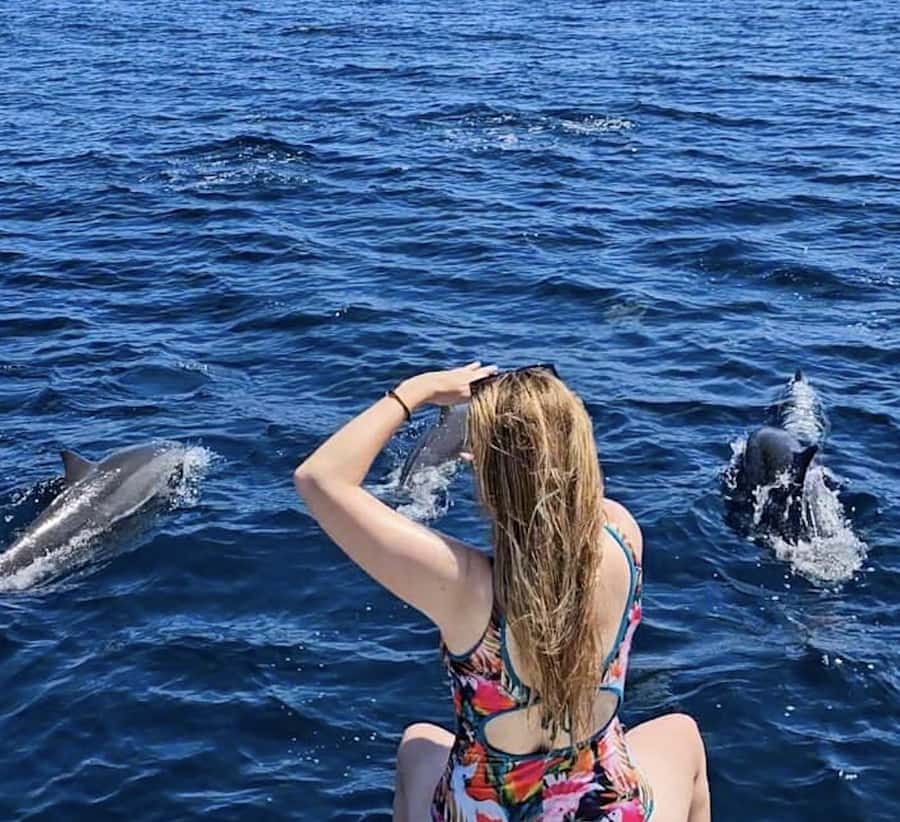 North Bali: Sunrise Tour with Dolphins, Waterfalls & Temples - Five things to know before you book