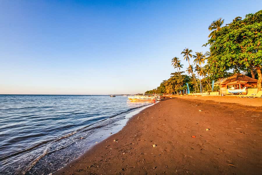 North Bali: Sunrise Tour with Dolphins, Waterfalls & Temples - Who should book this experience?