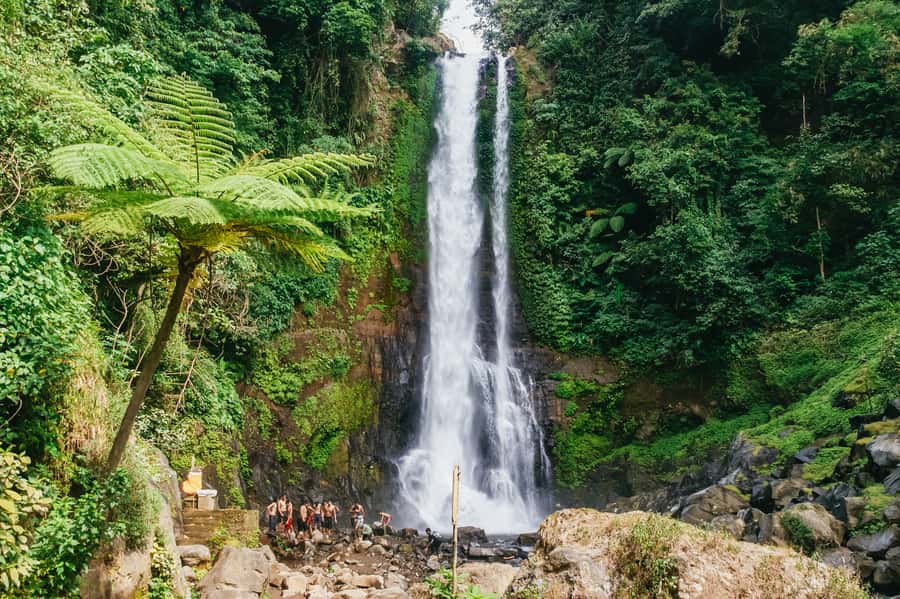 North Bali: Sunrise Tour with Dolphins, Waterfalls & Temples - Why this North Bali tour works