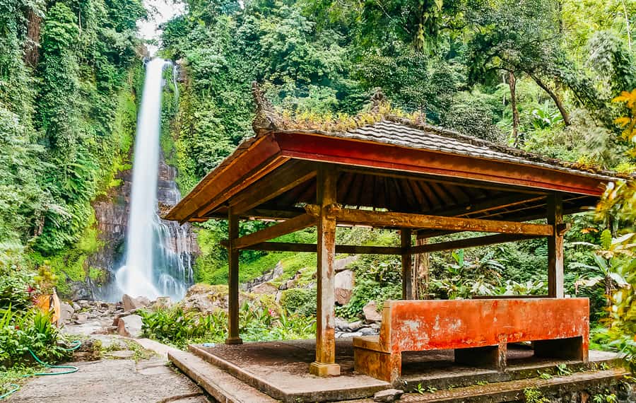 North Bali: Sunrise Tour with Dolphins, Waterfalls & Temples - Gitgit Waterfall and the jungle walk