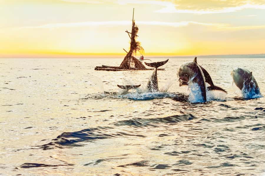 North Bali: Sunrise Tour with Dolphins, Waterfalls & Temples - What the guides add to the day
