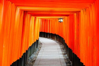 Osaka/Kyoto: Arashiyama, Nara & Fushimi Inari Shrine w/Lunch