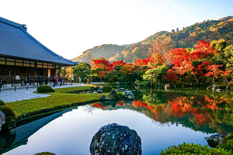 Osaka/Kyoto: Arashiyama, Nara & Fushimi Inari Shrine w/Lunch - Nara Park and Todai-ji: deer, Buddha, and a little caution