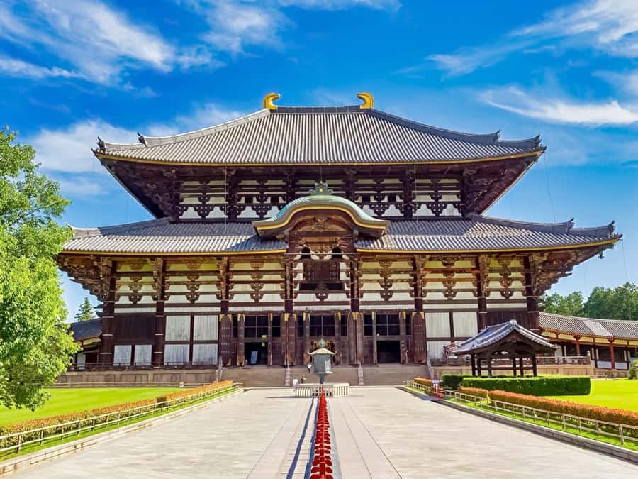 Osaka/Kyoto: Arashiyama, Nara & Fushimi Inari Shrine w/Lunch - Fushimi Inari Shrine and the thousand torii gates