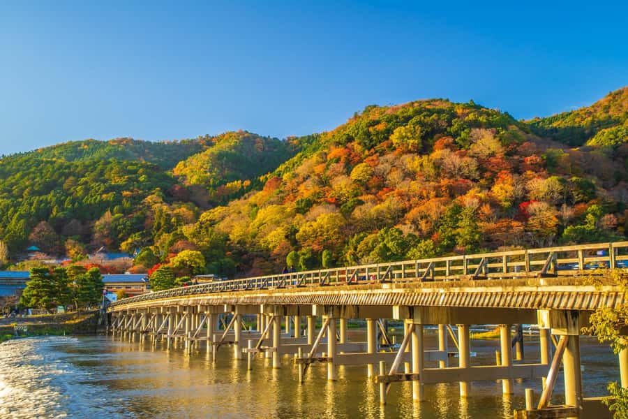 Osaka/Kyoto: Arashiyama, Nara & Fushimi Inari Shrine w/Lunch - Is $61 good value?
