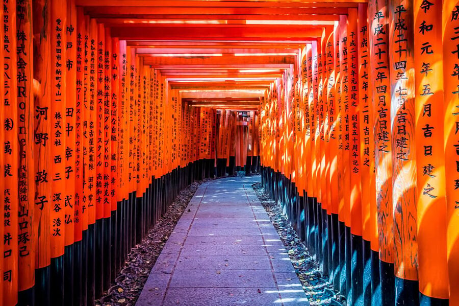 Osaka/Kyoto: Arashiyama, Nara Park, Fushimi Shrine Tour - Nara Park from 13:15: deer and open green space