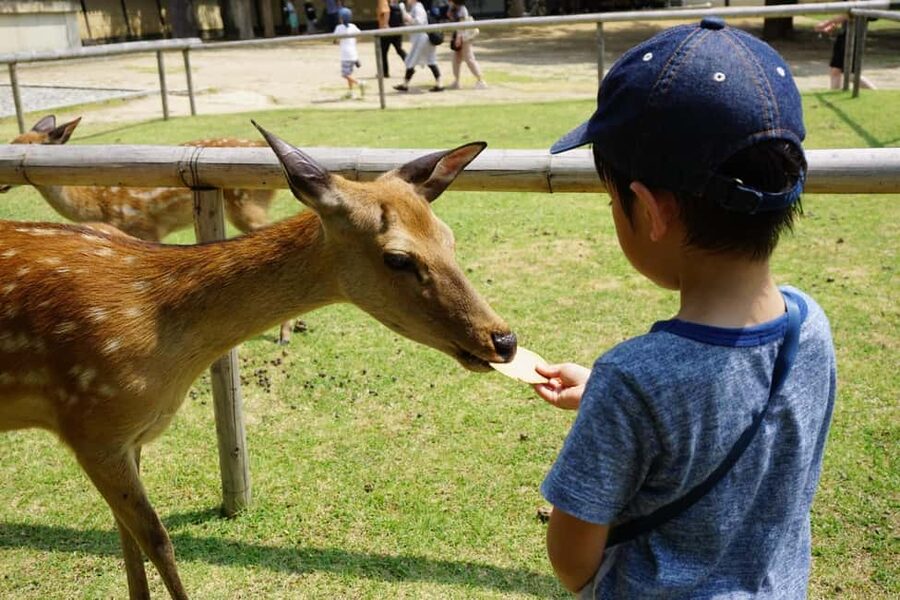 Osaka/Kyoto: Arashiyama, Nara Park, Fushimi Shrine Tour - What to bring for a smoother day