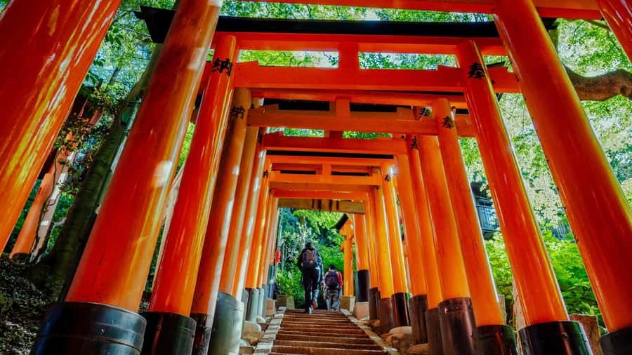 Osaka/Kyoto:Kinkakuji,Arashiyama,FushimiInariShrine,NaraPark - Key things to know before booking