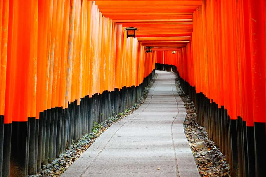 Osaka/Kyoto:Kinkakuji,Arashiyama,FushimiInariShrine,NaraPark - Why this four-stop route is useful