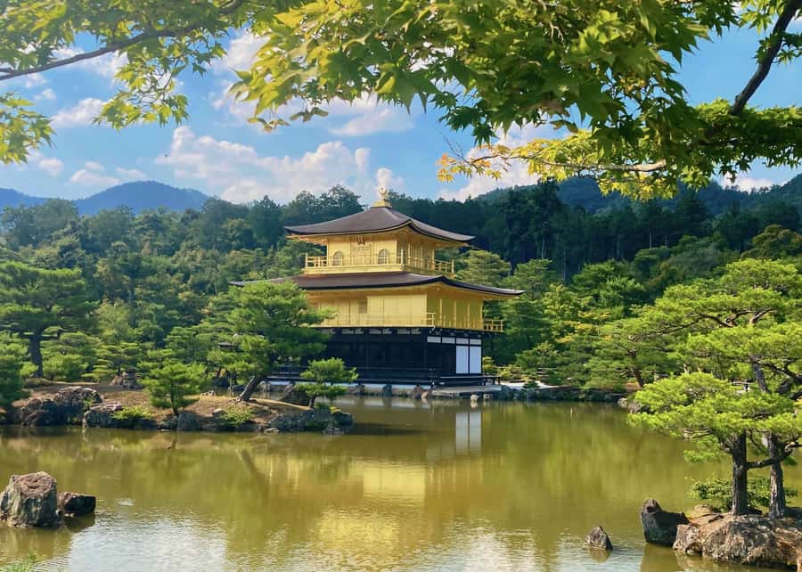 Osaka/Kyoto:Kinkakuji,Arashiyama,FushimiInariShrine,NaraPark - Fushimi Inari: thousands of red gates and a final climb