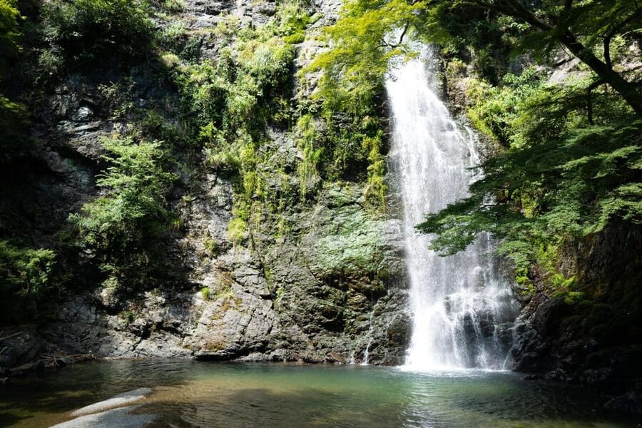 Osaka: Minoh, Katsuoji Temple, & Minoh Falls Full-day Tour - What the guides add to the day