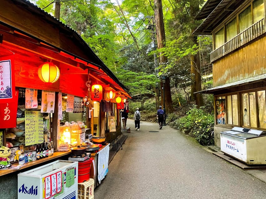 Osaka: Minoh, Katsuoji Temple, & Minoh Falls Full-day Tour - Is $135 good value?