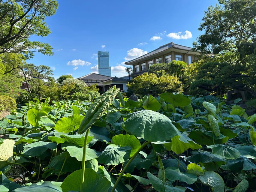 Osaka: Private Tour of Shitennoji, Osaka's Oldest Temple - Is $60 per person a fair price?