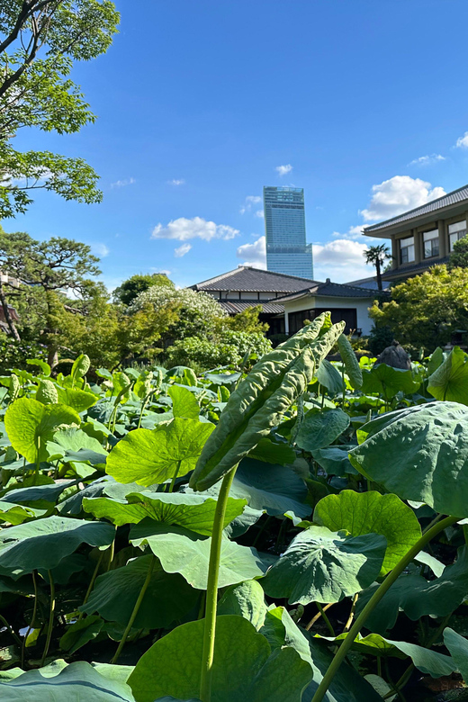Osaka: Private Tour of Shitennoji, Osaka's Oldest Temple - The timing issue you should not ignore