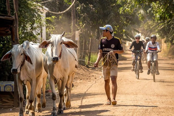 Oudong Temples & Phnom Prasith Private Tour from Phnom Penh - What the $139 price really covers